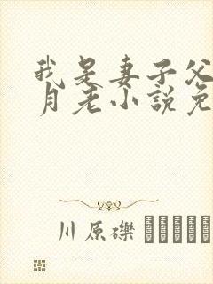 我是妻子父亲的月老小说免费阅读