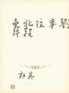 东北往事刘海柱片段