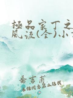 极品家丁之萧氏风流(全)小说