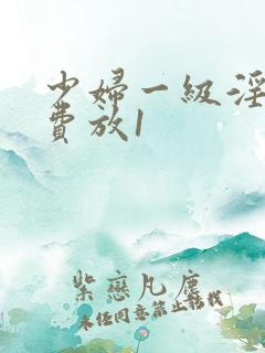 少妇一级淫片免费放1