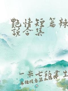 艳情短篇辣文小说合集