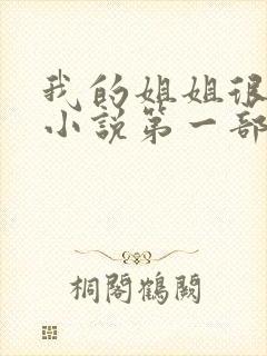 我的姐姐很弟控小说第一部