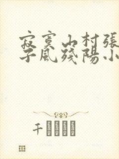 寂寞山村张瑶刚子风残阳小说
