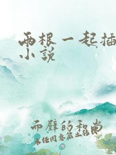 两根一起插进去小说