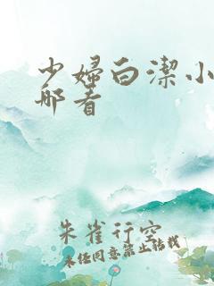 少妇白洁小说在哪看