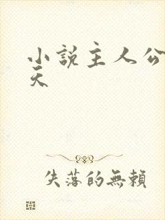 小说主人公是林天