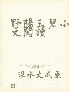 野阳玉儿小说全文阅读