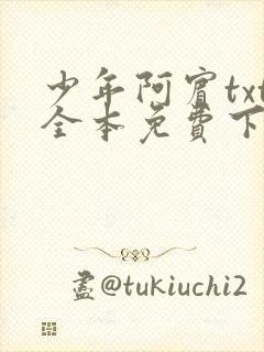 少年阿宾txt全本免费下载