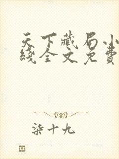 天下藏局小说在线全文免费阅读