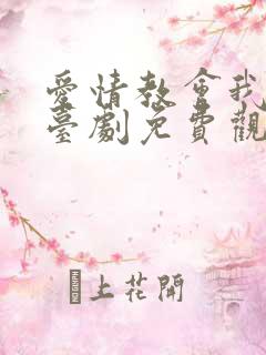 爱情教会我的事台剧免费观看