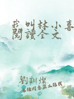 我叫林小喜免费阅读全文