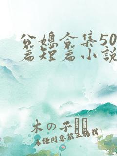 公媳合集500篇短篇小说