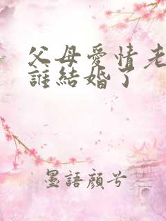 父母爱情老丁和谁结婚了