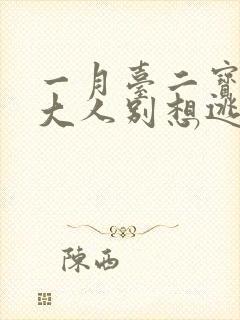 一月台二宝老婆大人别想逃