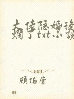 大佬隐婚后我摆烂了txt小说