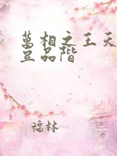 万相之王天蚕土豆品阶