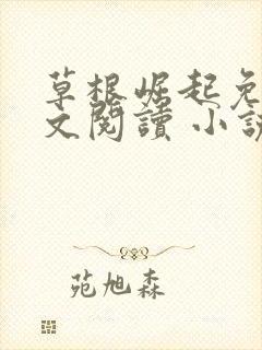 草根崛起免费全文阅读 小说