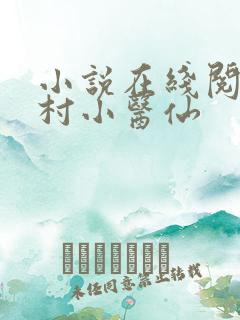 小说在线阅读乡村小医仙