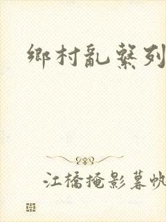 乡村乱系列小说