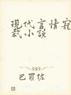 现代言情宠文总裁小说