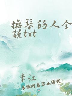 抚琴的人全部小说txt