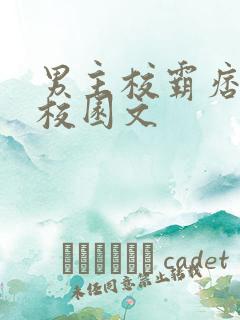 男主校霸痞帅的校园文