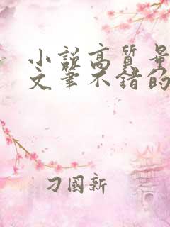 小说高质量言情文笔不错的