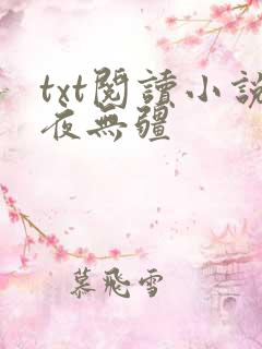 txt阅读小说夜无疆