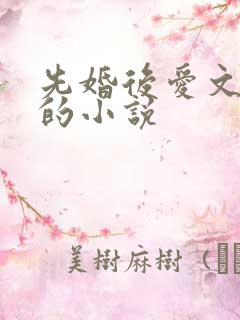 先婚后爱文笔好的小说