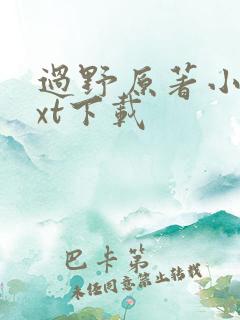 过野原著小说txt下载
