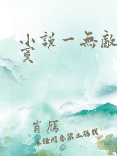 小说一无敌真寂寞