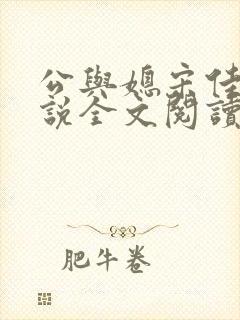公与媳宋佳佳小说全文阅读