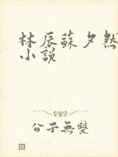 林辰苏夕然正版小说
