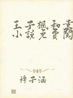 王子枫和袁雯洁小说免费阅读