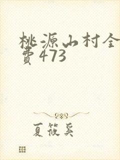 桃源山村全文免费473