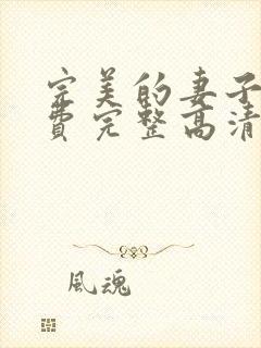 完美的妻子6免费完整高清韩剧