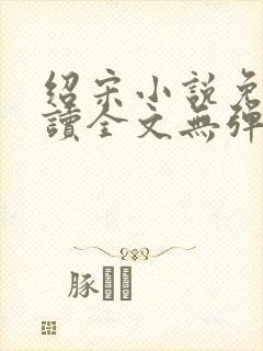 绍宋小说免费阅读全文无弹窗