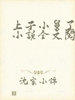 上子小舅了老婆小说全文阅读