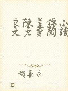 良陈美锦小说全文免费阅读