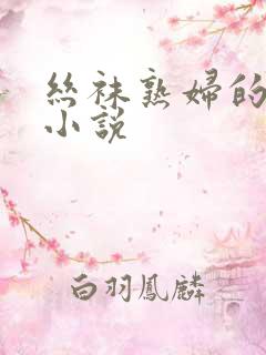 丝袜熟妇的激情小说