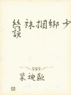 丝袜捆绑少妇小说