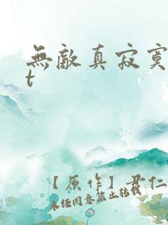 无敌真寂寞txt