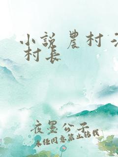 小说 农村 淫 村长