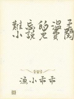 难忘的温柔妻姐小说免费阅读