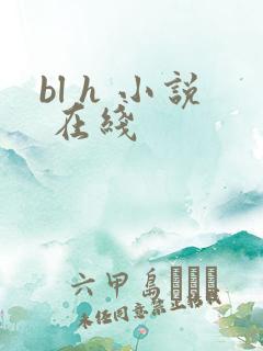 bl h 小说 在线