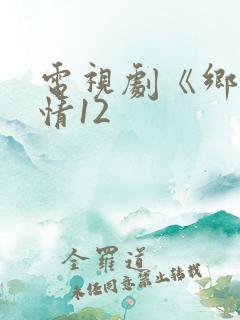 电视剧《乡村爱情12