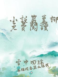 小说严暮柳云湘免费阅读