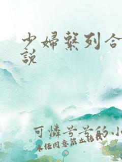 少妇系列合集小说