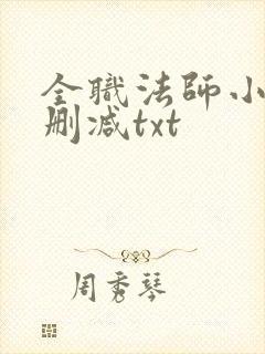全职法师小说无删减txt