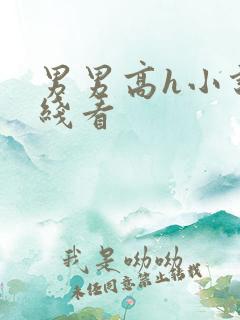 男男高h小说在线看